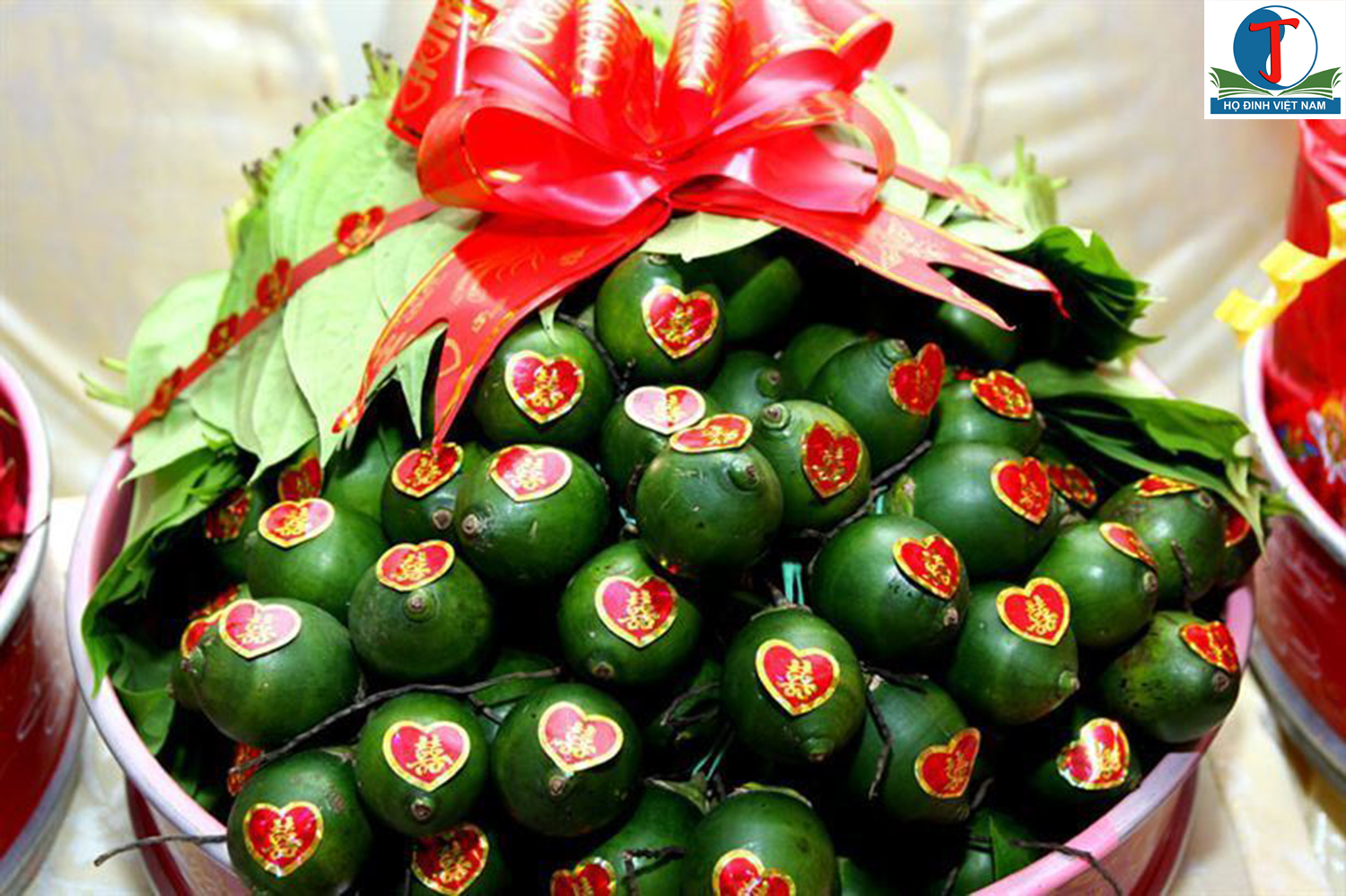 Công dụng tuyệt vời của Rượu Cau