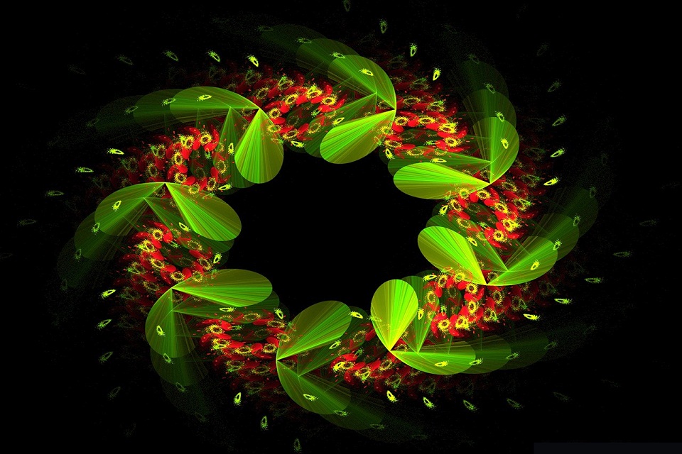 THÀNH LẬP BAN LIÊN LẠC HỌ ĐINH