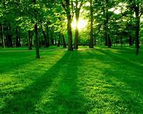 DÒNG HỌ LỚN TẠI NAM ĐỊNH