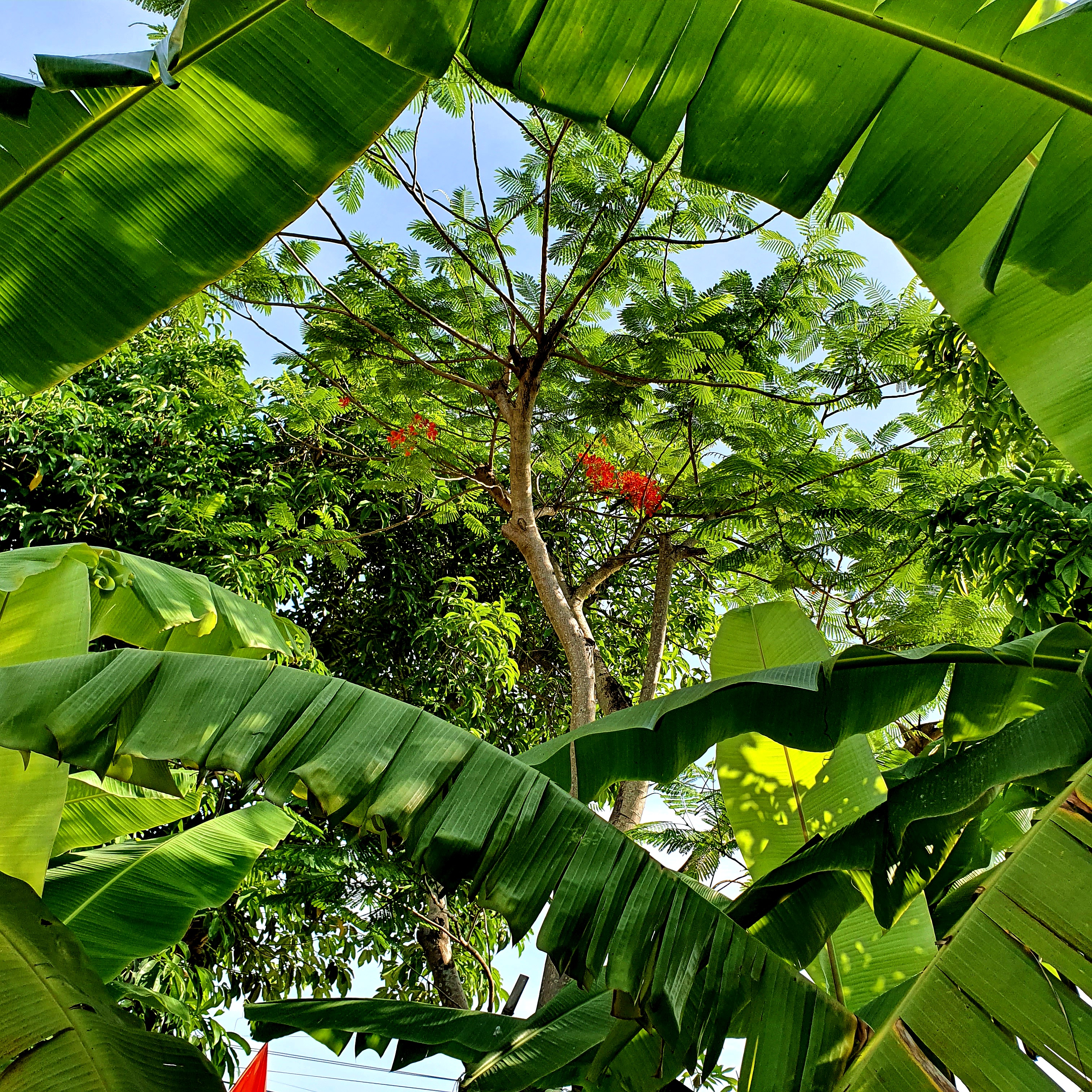 BLL HỌ ĐINH TP. HẢI PHÒNG: HỘI NGHỊ SƠ KẾT 6 THÁNG ĐẦU NĂM 2020