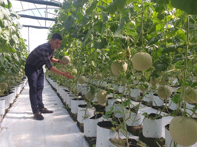 NGƯỜI DÒNG HỌ ĐINH NHO, HÀ TĨNH LÀM KINH TẾ GIỎI